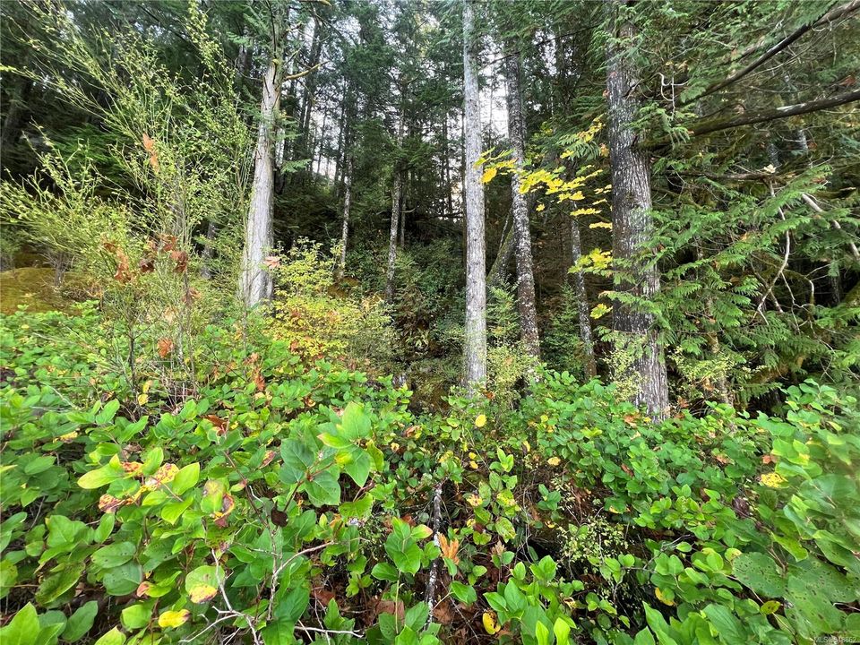 Photo 14 at Lot 1 Owen Bay, Small Islands (Campbell River Area), Islands