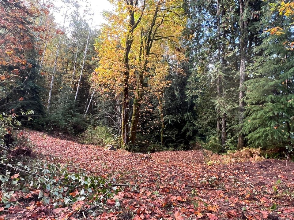 Photo 16 at Lot 1 Owen Bay, Small Islands (Campbell River Area), Islands