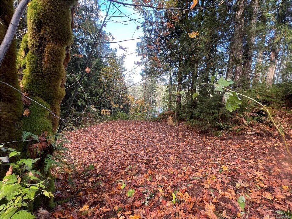 Photo 18 at Lot 1 Owen Bay, Small Islands (Campbell River Area), Islands