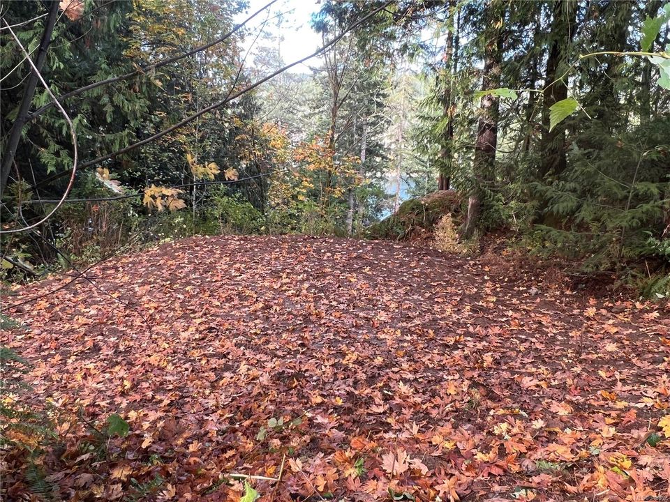 Photo 19 at Lot 1 Owen Bay, Small Islands (Campbell River Area), Islands