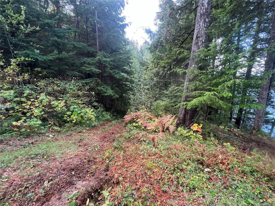 Photo 21 at Lot 1 Owen Bay, Small Islands (Campbell River Area), Islands