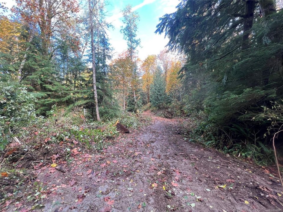 Photo 22 at Lot 1 Owen Bay, Small Islands (Campbell River Area), Islands