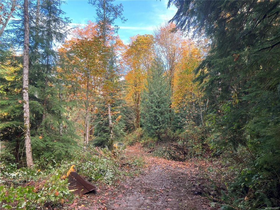 Photo 23 at Lot 1 Owen Bay, Small Islands (Campbell River Area), Islands