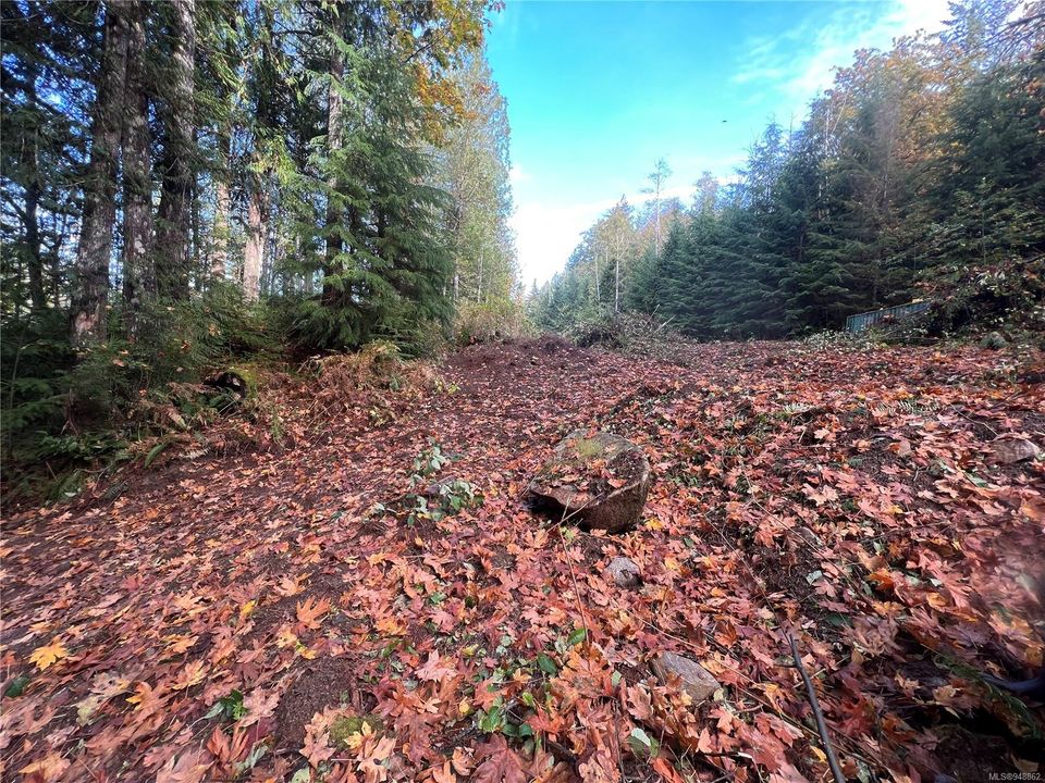 Photo 25 at Lot 1 Owen Bay, Small Islands (Campbell River Area), Islands