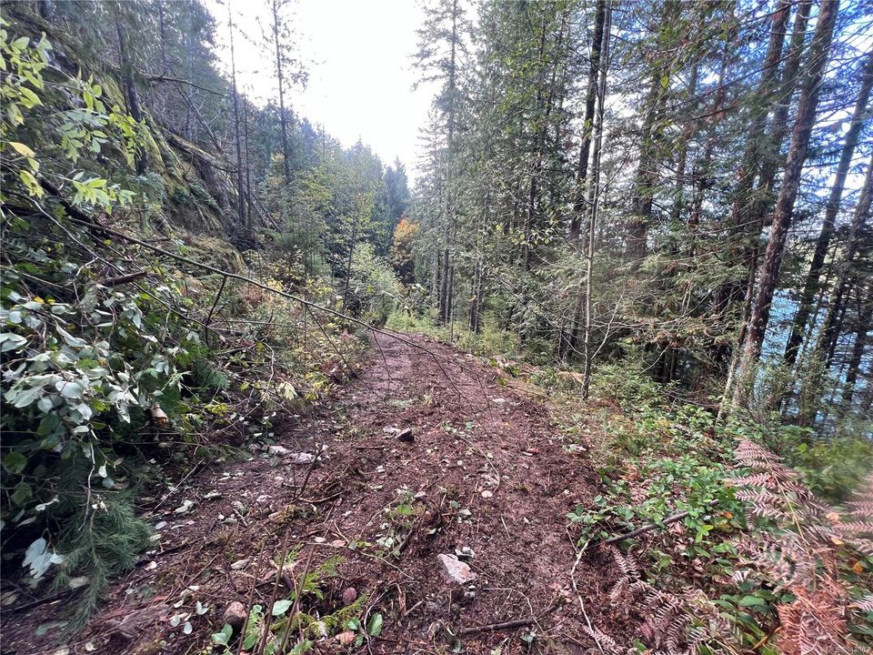 Photo 31 at Lot 1 Owen Bay, Small Islands (Campbell River Area), Islands
