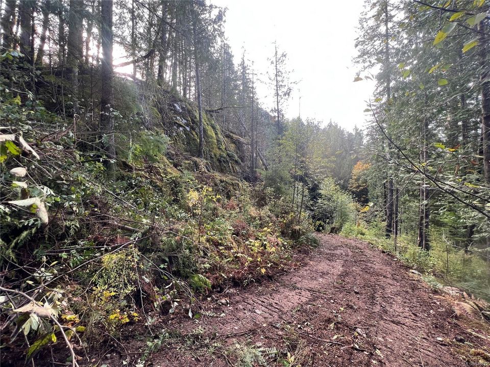 Photo 32 at Lot 1 Owen Bay, Small Islands (Campbell River Area), Islands
