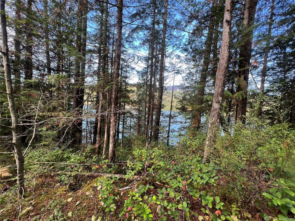 Photo 33 at Lot 1 Owen Bay, Small Islands (Campbell River Area), Islands
