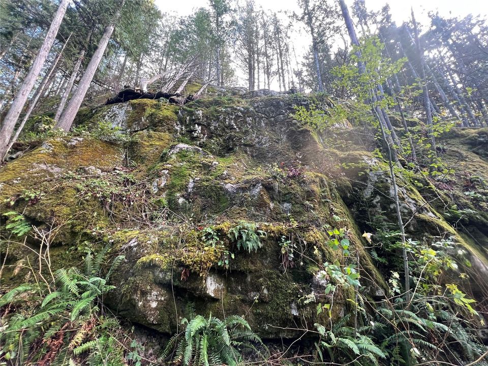 Photo 35 at Lot 1 Owen Bay, Small Islands (Campbell River Area), Islands