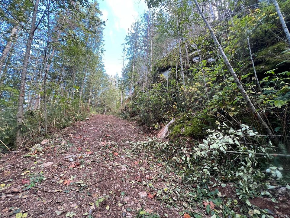 Photo 36 at Lot 1 Owen Bay, Small Islands (Campbell River Area), Islands