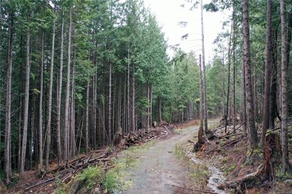 Photo 6 at LOT 5 Discovery Passage (off) Road, Campbell River North, Campbell River