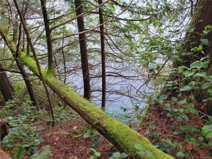 Photo 17 at LOT 5 Discovery Passage (off) Road, Campbell River North, Campbell River