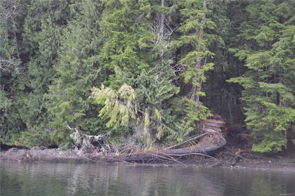 Photo 3 at E-645 Quatsino Road, Port Hardy, North Island