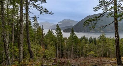 Photo 1 at 18 Rendezvous Island, Small Islands (Campbell River Area), Islands
