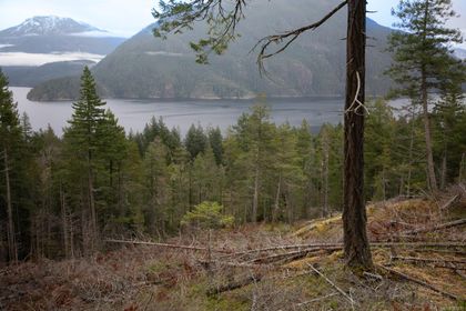 Photo 9 at 18 Rendezvous Island, Small Islands (Campbell River Area), Islands