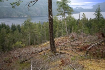 Photo 10 at 18 Rendezvous Island, Small Islands (Campbell River Area), Islands