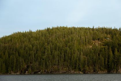 Photo 17 at 18 Rendezvous Island, Small Islands (Campbell River Area), Islands