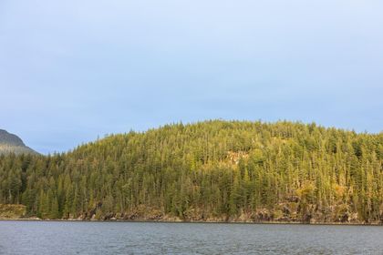 Photo 18 at 18 Rendezvous Island, Small Islands (Campbell River Area), Islands