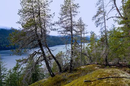 Photo 21 at 18 Rendezvous Island, Small Islands (Campbell River Area), Islands