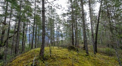 Photo 22 at 18 Rendezvous Island, Small Islands (Campbell River Area), Islands