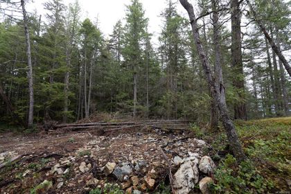 Photo 23 at 18 Rendezvous Island, Small Islands (Campbell River Area), Islands