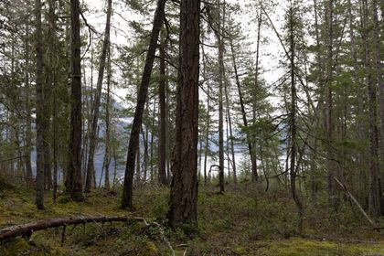 Photo 24 at 18 Rendezvous Island, Small Islands (Campbell River Area), Islands