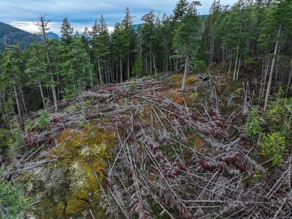Photo 25 at 18 Rendezvous Island, Small Islands (Campbell River Area), Islands