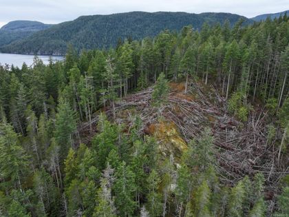 Photo 26 at 18 Rendezvous Island, Small Islands (Campbell River Area), Islands