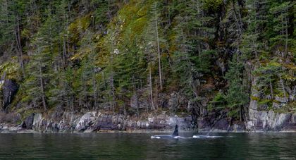 Photo 27 at 18 Rendezvous Island, Small Islands (Campbell River Area), Islands