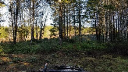 Photo 9 at Lot 3 Cowichan Lake Road, West Duncan, Duncan