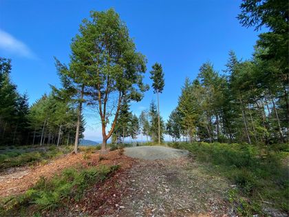 Photo 8 at Lt 4 Spruce Avenue, Gabriola Island, Islands