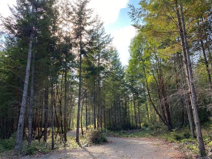 Photo 10 at Lt 4 Spruce Avenue, Gabriola Island, Islands