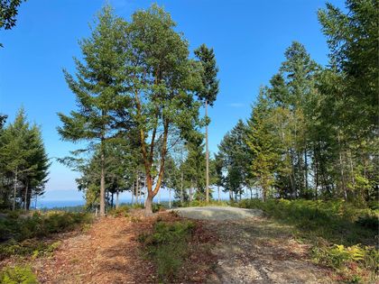 Photo 11 at Lt 4 Spruce Avenue, Gabriola Island, Islands