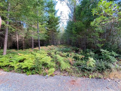Photo 19 at Lt 4 Spruce Avenue, Gabriola Island, Islands