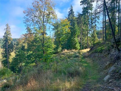 Photo 9 at  Spruce Avenue, Gabriola Island, Islands
