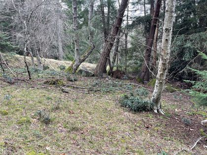 Photo 3 at LOT 102 Sockeye Drive, Mudge Island, Islands