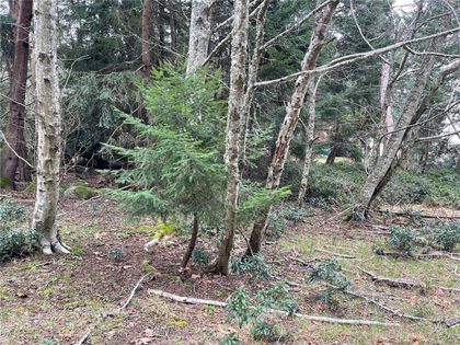 Photo 4 at LOT 102 Sockeye Drive, Mudge Island, Islands