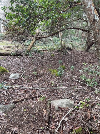 Photo 7 at LOT 102 Sockeye Drive, Mudge Island, Islands