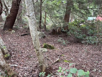 Photo 9 at LOT 102 Sockeye Drive, Mudge Island, Islands