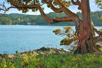 Photo 1 at  Fane Island, Gulf Isl Other, Gulf Islands