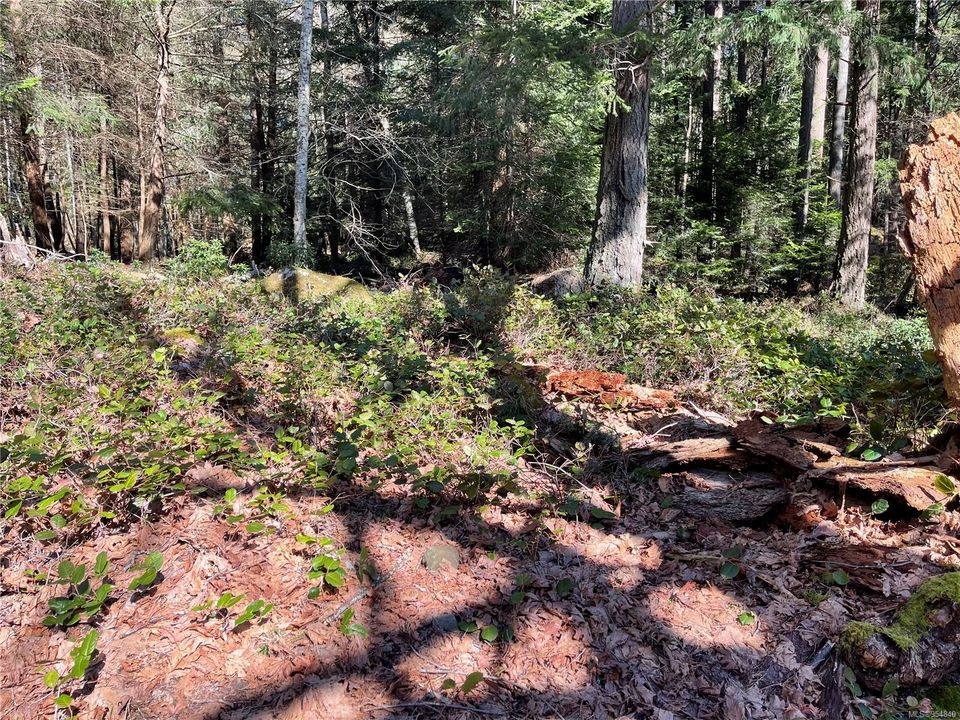 Photo 9 at Lot 93 Perch Place, Mudge Island, Islands