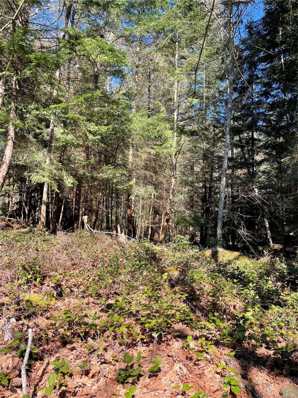 Photo 10 at Lot 93 Perch Place, Mudge Island, Islands