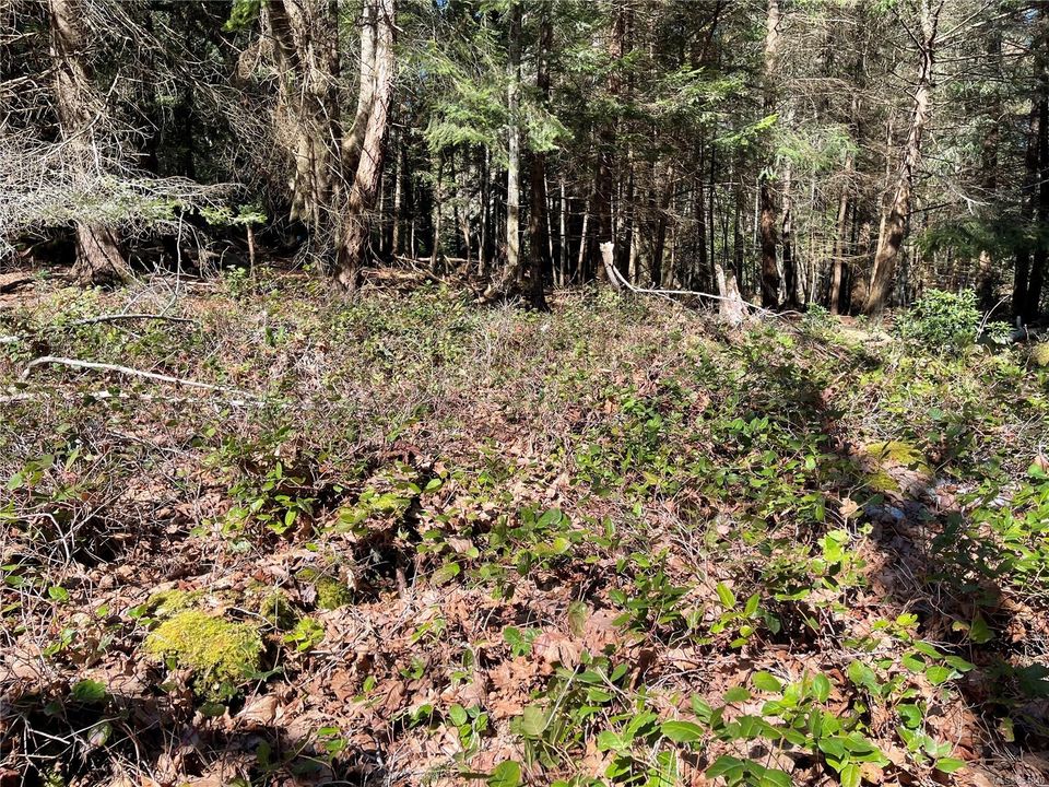 Photo 12 at Lot 93 Perch Place, Mudge Island, Islands