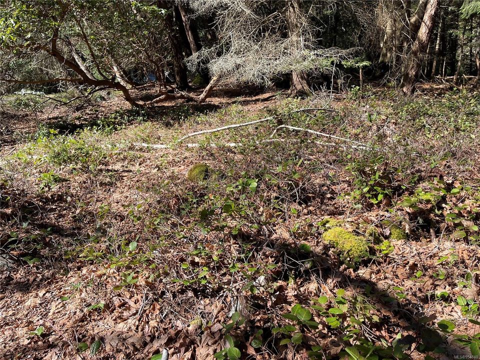 Photo 13 at Lot 93 Perch Place, Mudge Island, Islands