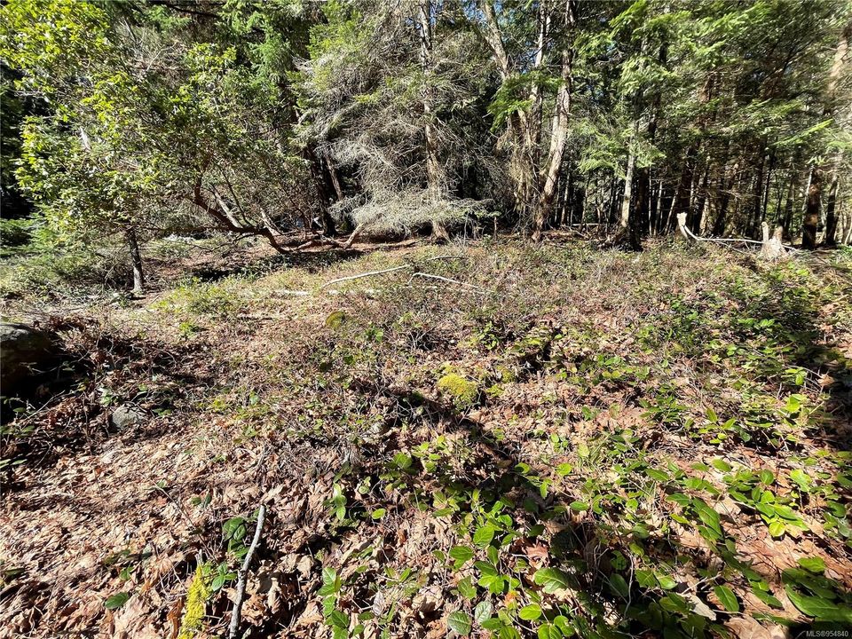 Photo 14 at Lot 93 Perch Place, Mudge Island, Islands