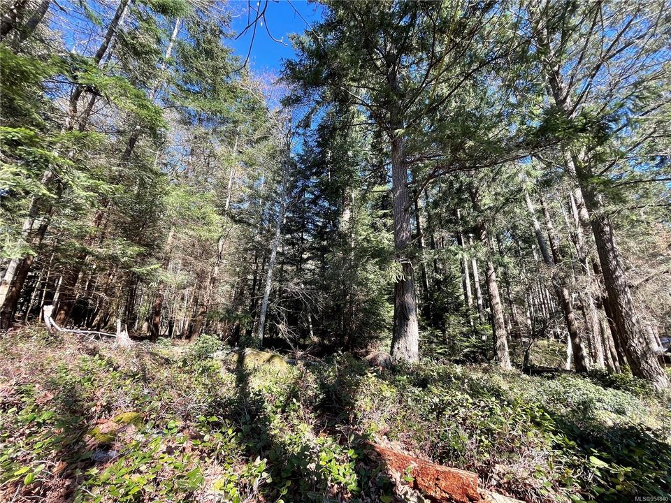Photo 16 at Lot 93 Perch Place, Mudge Island, Islands