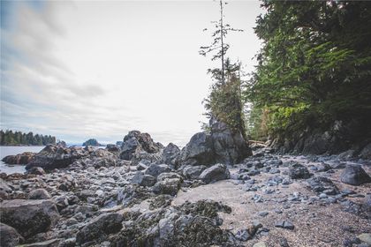 Photo 8 at  Francis Island, Ucluelet, Port Alberni and West Coast