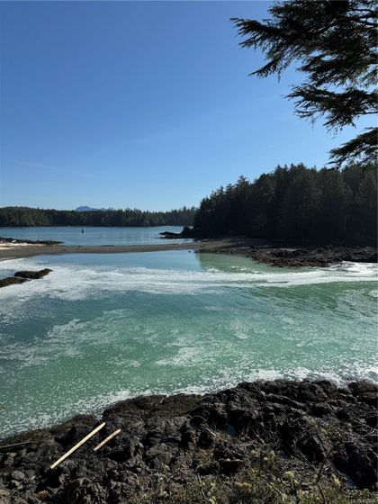 Photo 21 at  Francis Island, Ucluelet, Port Alberni and West Coast