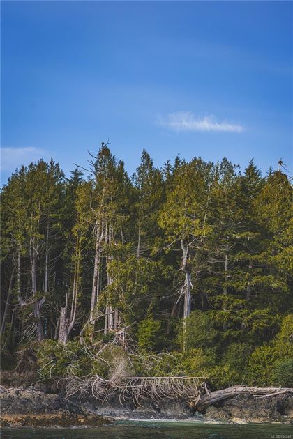Photo 12 at Lot A Vargas Island, Tofino, Port Alberni