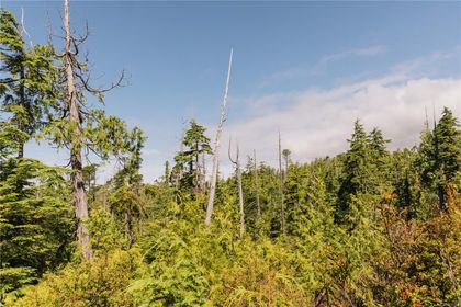Photo 11 at LOT 4 Hawkes Road, Port Alberni
