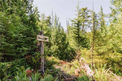 Photo 12 at LOT 4 Hawkes Road, Port Alberni